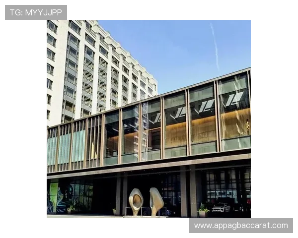 在AG VIP厅体验顶级豪华环境，感受尊贵会员专属的奢华享受