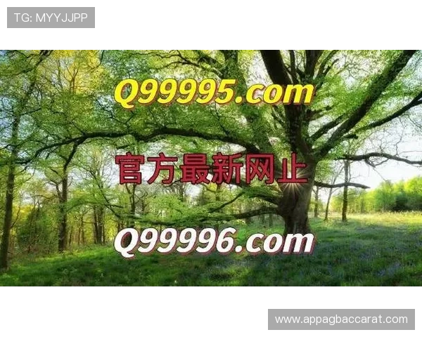 AG真人网页版游戏攻略大全,助你轻松掌握各种真人游戏技巧提升胜率 AG真人网页版游戏攻略大全,助你轻松掌握各种真人游戏技巧提升胜率