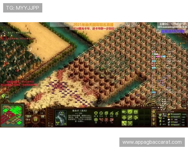 MG视讯直播热门游戏推荐及玩法攻略助你快速成为游戏高手