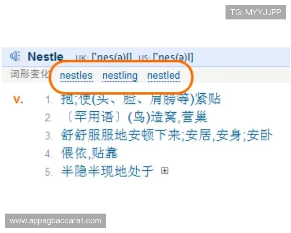 PA百家官网用户注册流程详细攻略与常见问题解答 PA百家官网用户注册流程详细攻略与常见问题解答